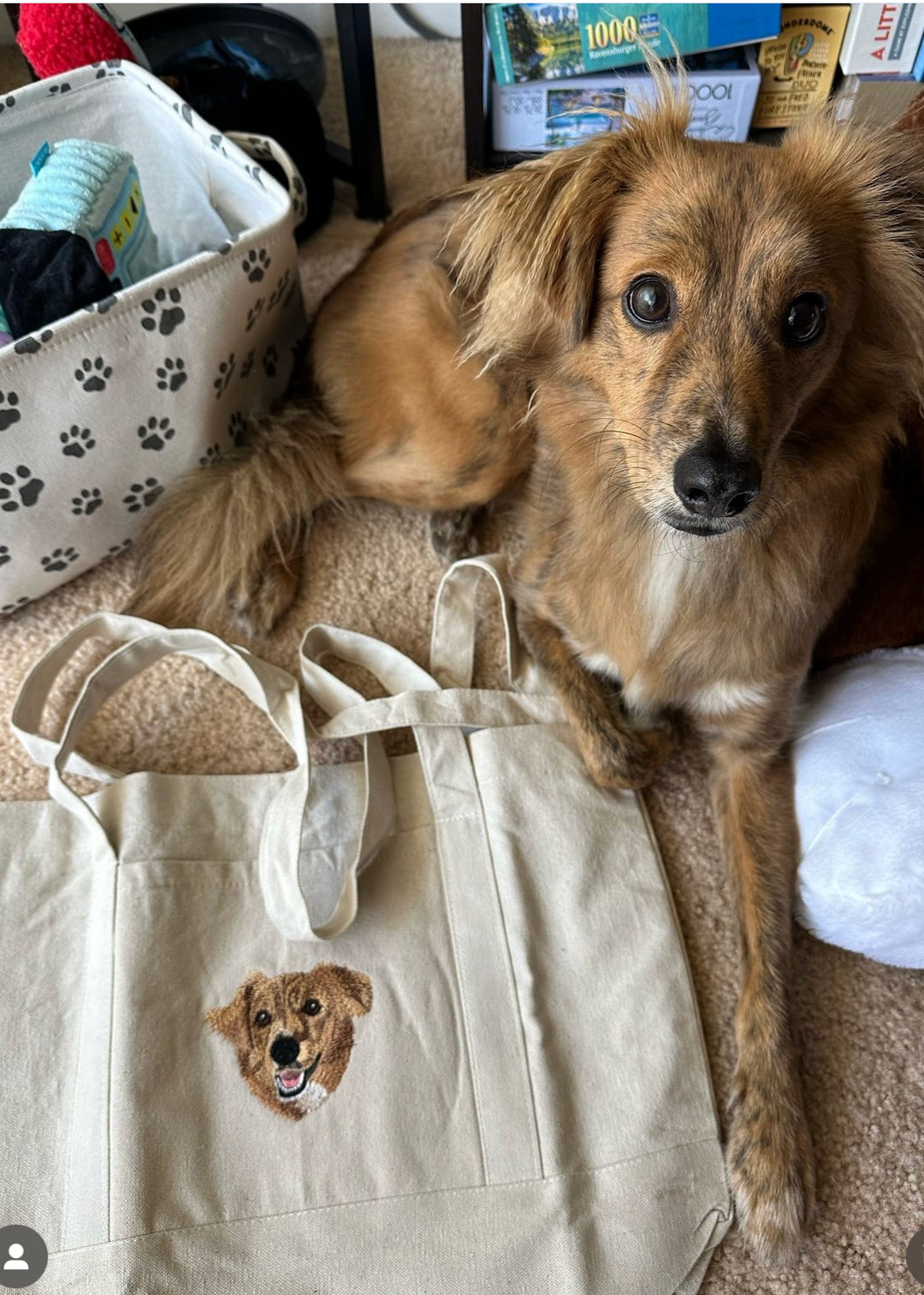 Pug Embroidered on outlet Tote Bag