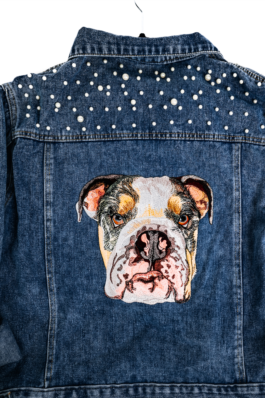 6 in Pink Teddy Bear Print Denim Jacket & Matching Shorts shops with Pet Puppy, Long P